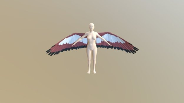 Winged human